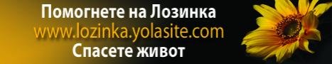 banner_3.jpg