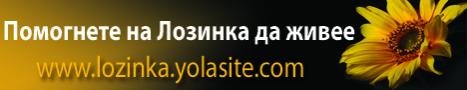 banner_1.jpg