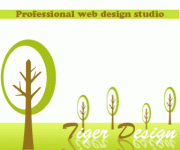 tig3r-design.gif
