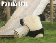 stupid-panda.jpg stupid-panda.jpg