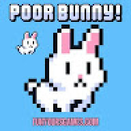 poor bunny