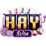 haywin2cam