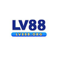 lv88borg