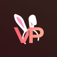 vicepleasurenet