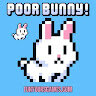 poor bunny